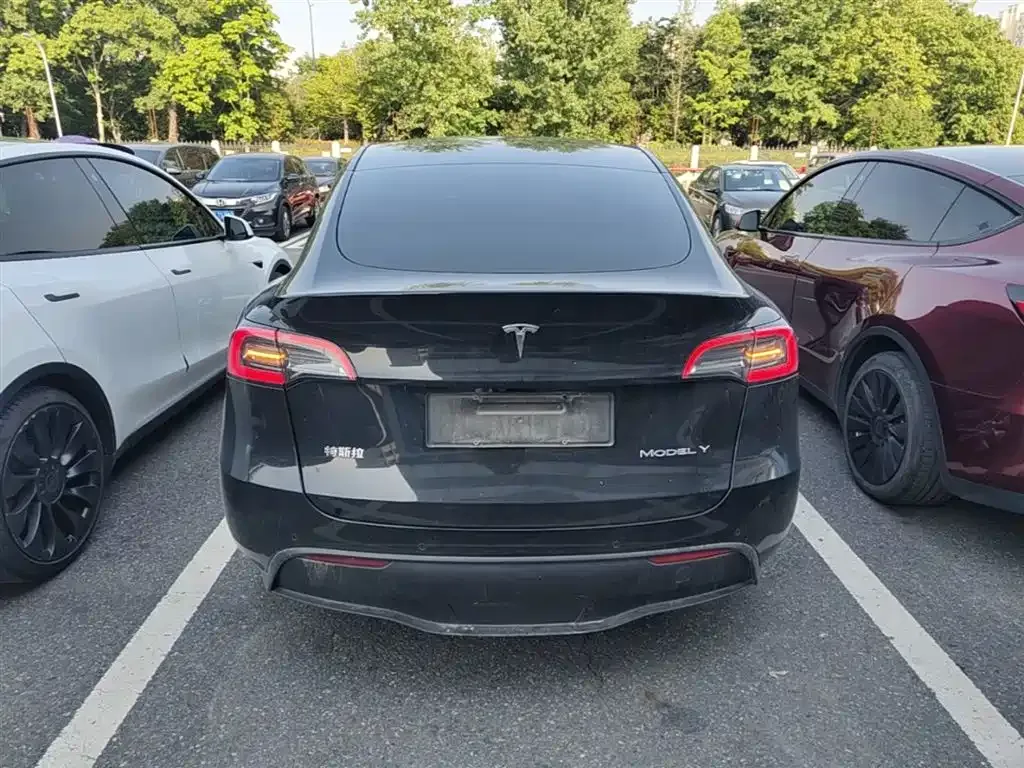 Tesla Model Y — фото 10