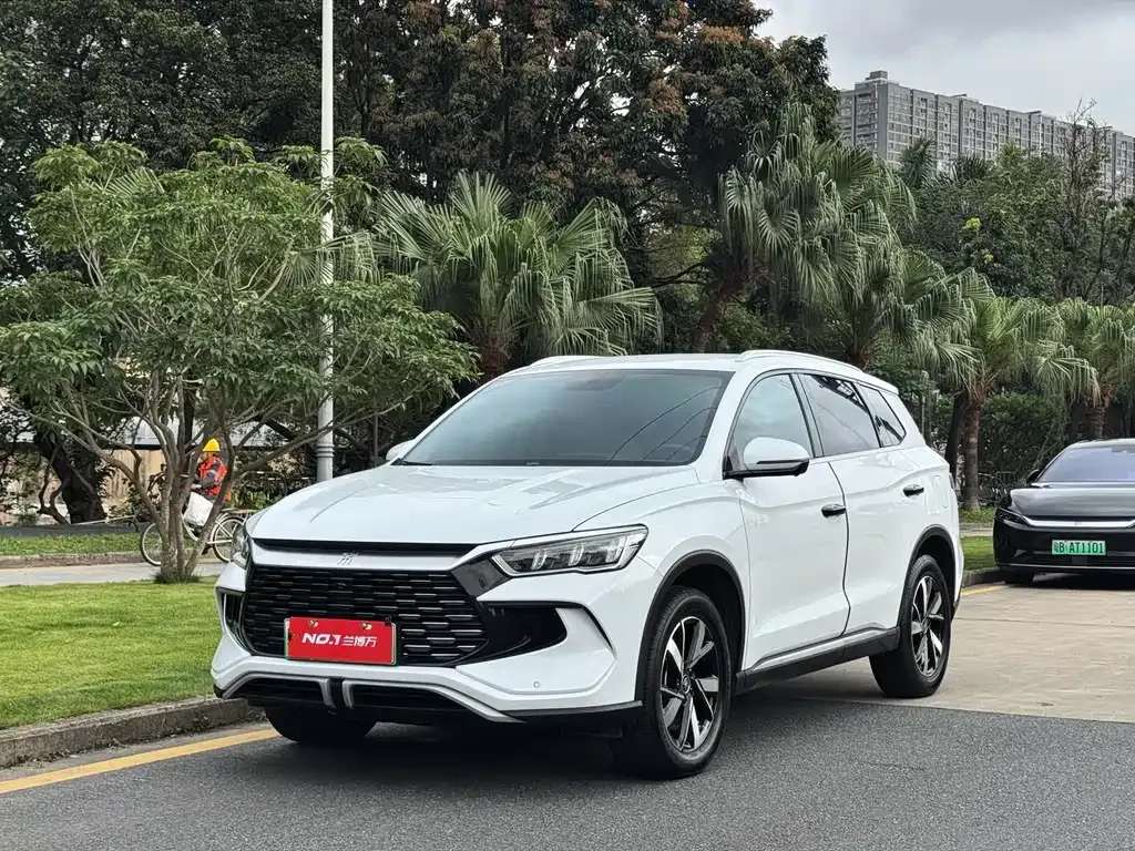 BYD Pro New Energy