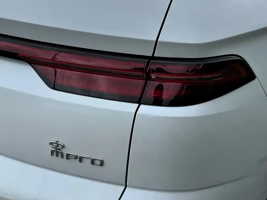 BYD Pro New Energy 2024 из CN, фото 2
