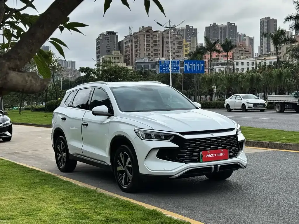 BYD Pro New Energy 2024 из CN, фото 6