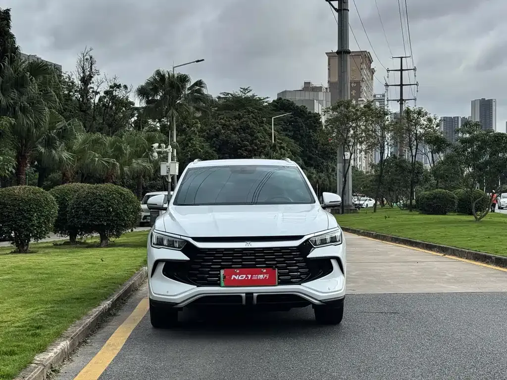 BYD Pro New Energy 2024 из CN, фото 7