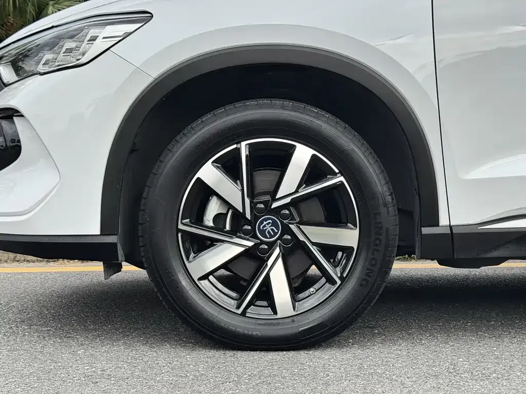 BYD Pro New Energy 2024 из CN, фото 9