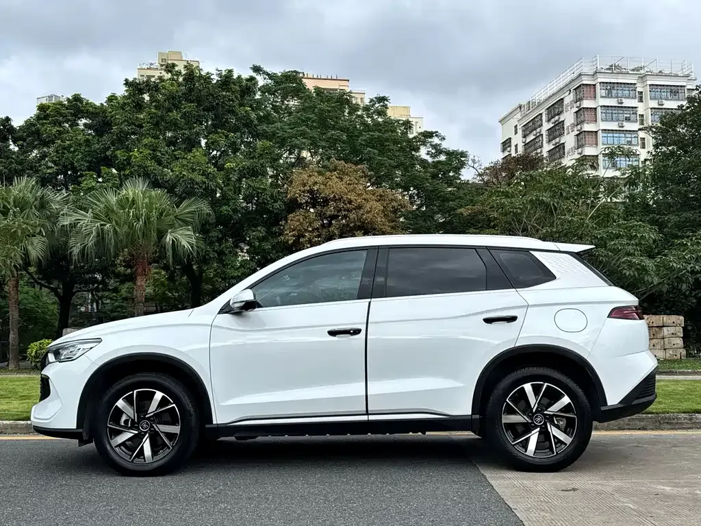BYD Pro New Energy 2024 из CN, фото 10