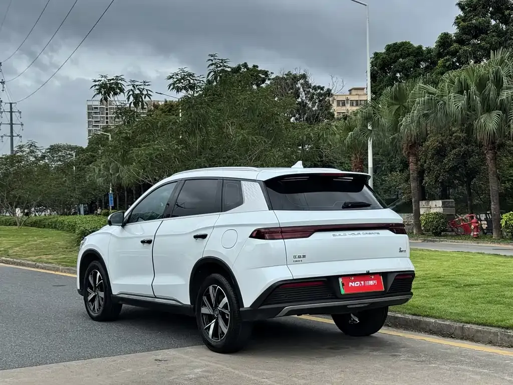 BYD Pro New Energy 2024 из CN, фото 3