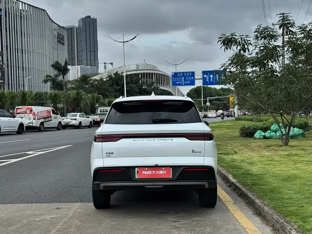 BYD Pro New Energy 2024 из CN, фото 5