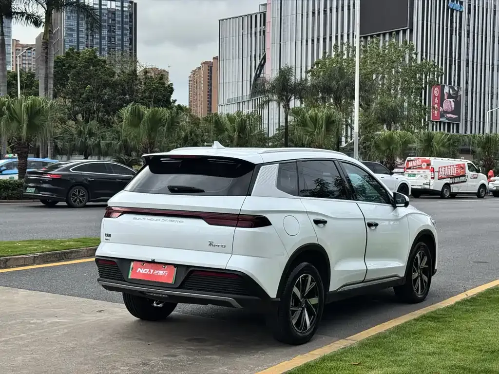 BYD Pro New Energy 2024 из CN, фото 8