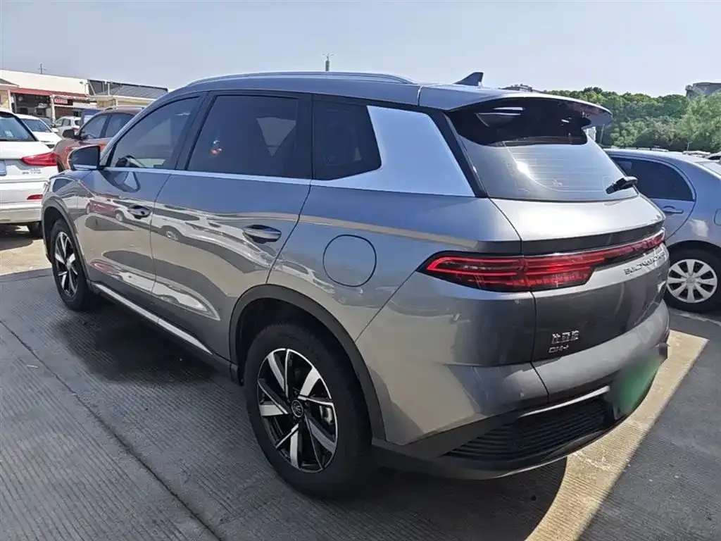 BYD Pro New Energy — фото 7