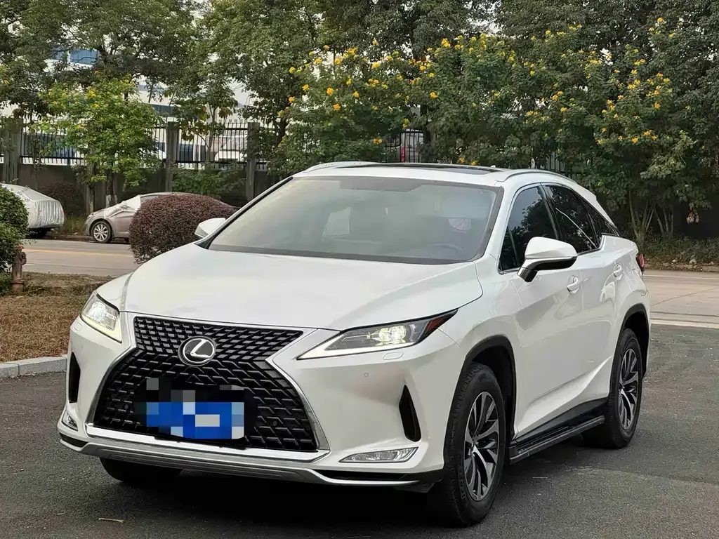 Lexus RX — фото 9