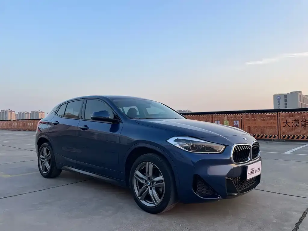 BMW X2 2022 из CN, фото 9