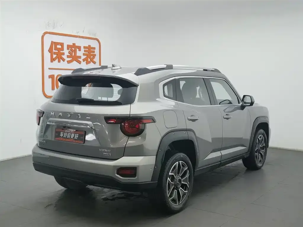 Haval H7 (Big Dog Plus) New Energy 2024 из CN, фото 3