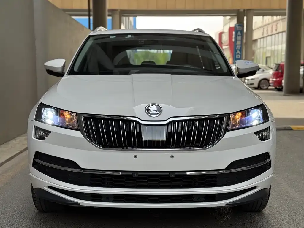 Skoda Karoq 2022 из CN, фото 6