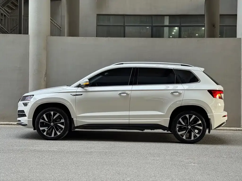 Skoda Karoq 2022 из CN, фото 5