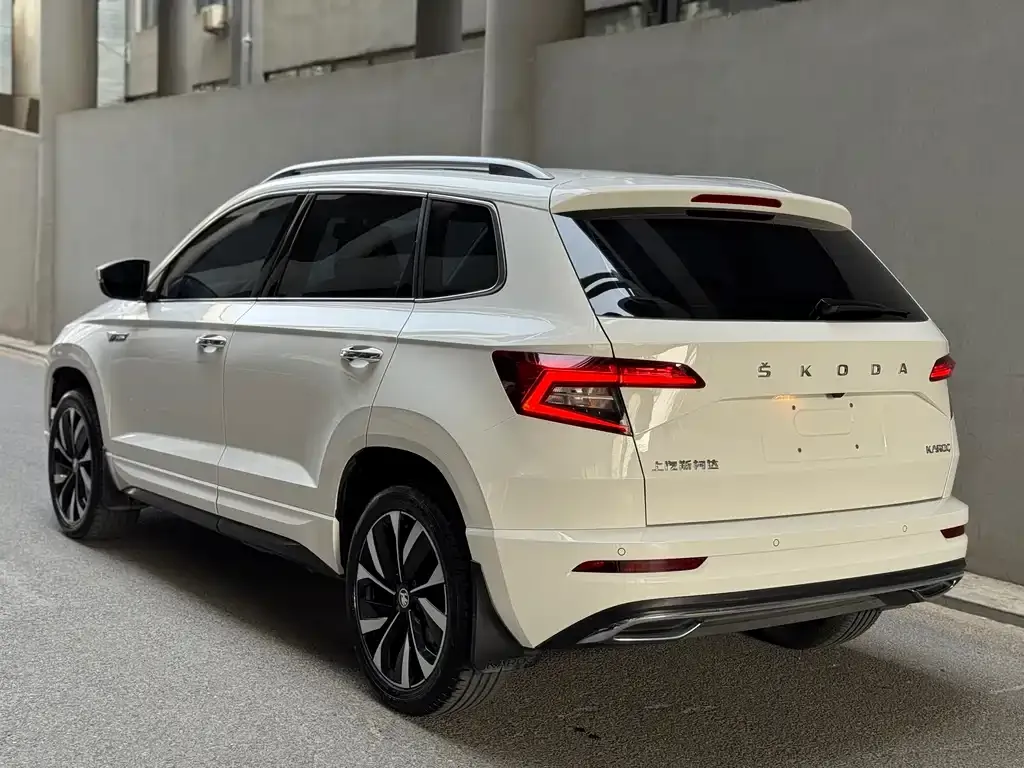 Skoda Karoq 2022 из CN, фото 7