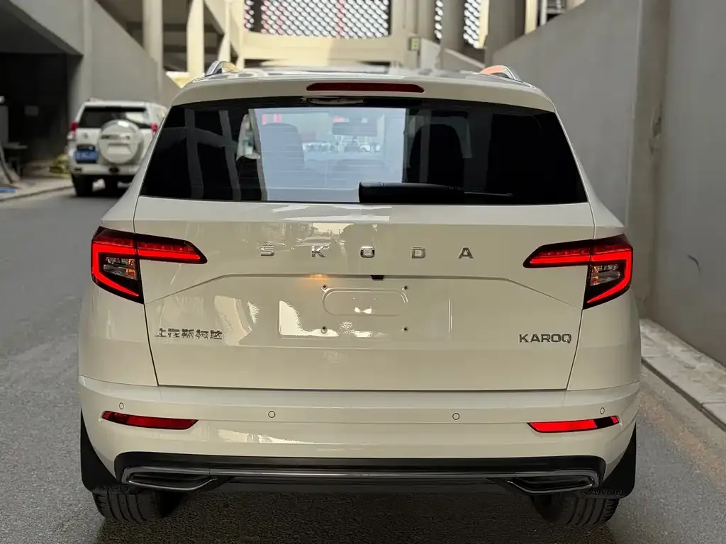 Skoda Karoq 2022 из CN, фото 2