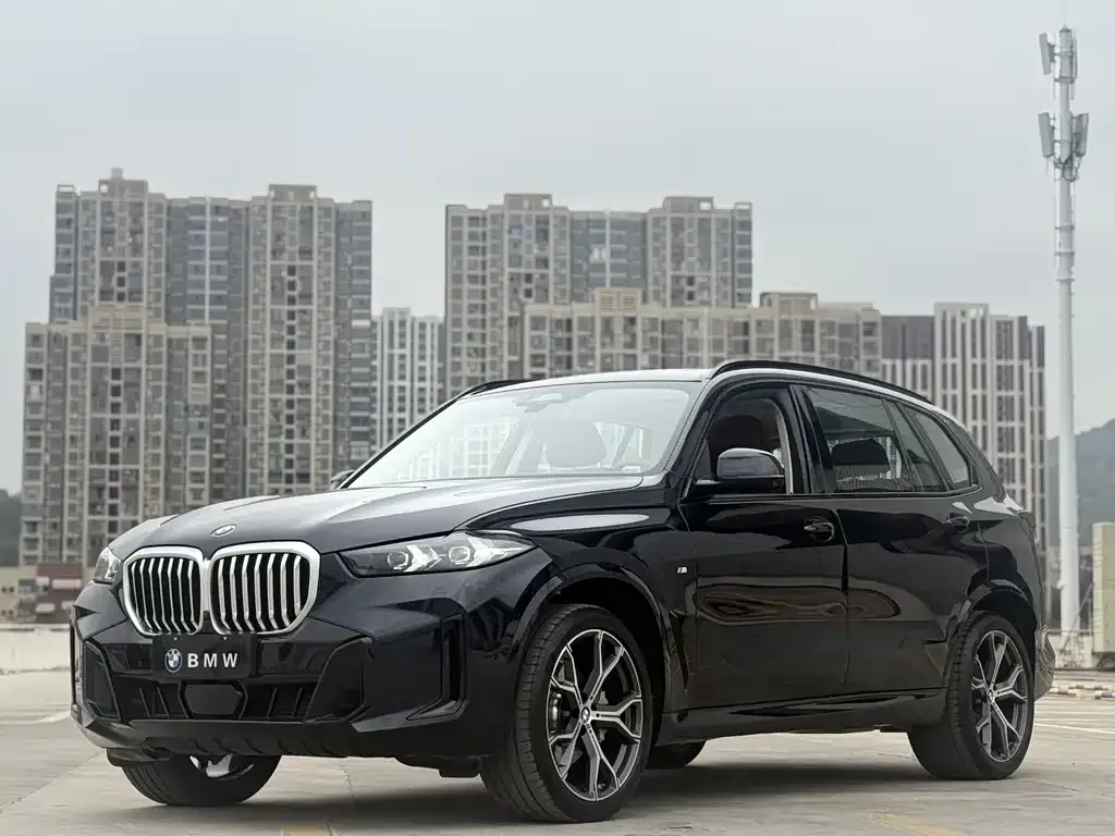 BMW X5 — фото 1