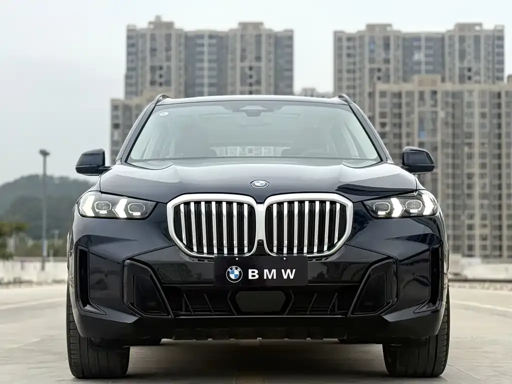 BMW X5 — фото 3