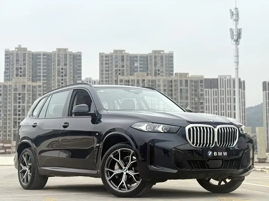BMW X5 — фото 4