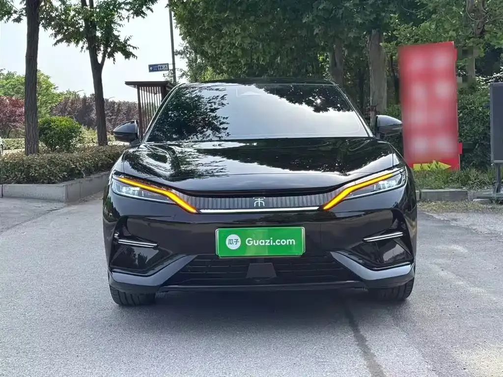 BYD L EV 2024 из CN, фото 7
