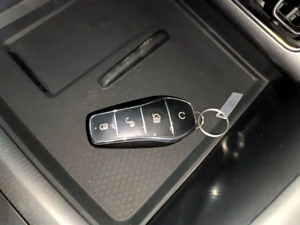 BYD L EV 2024 из CN, фото 2