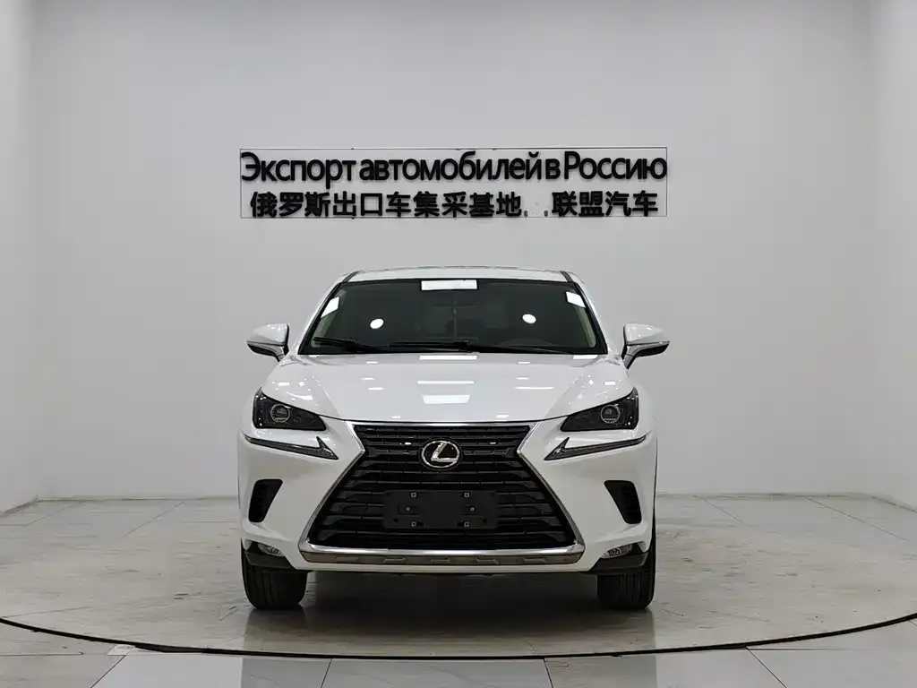 Lexus NX 2021 из CN, фото 7