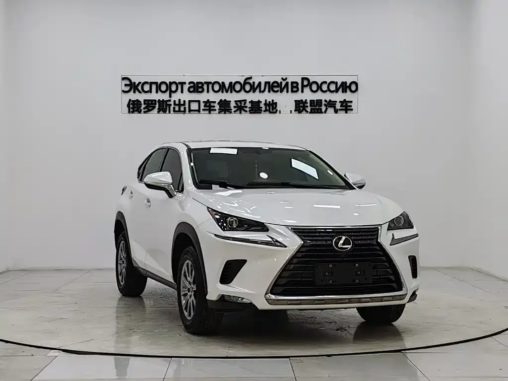 Lexus NX 2021 из CN, фото 4