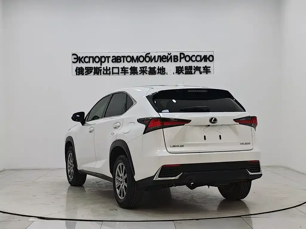 Lexus NX 2021 из CN, фото 3