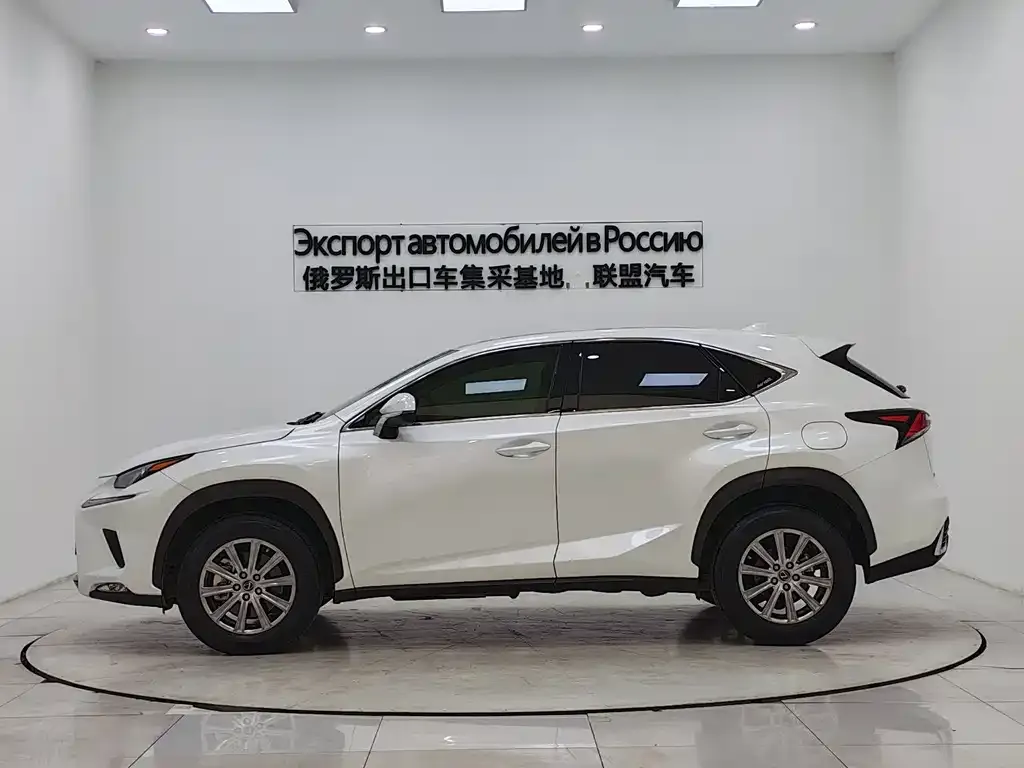 Lexus NX 2021 из CN, фото 10