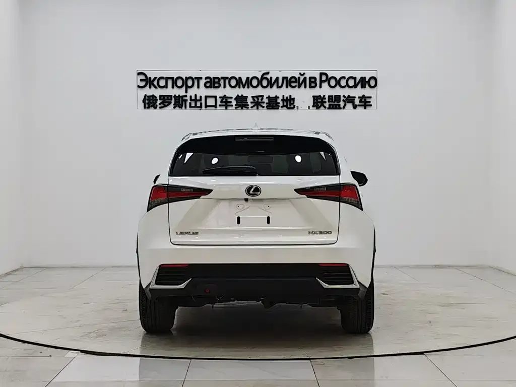 Lexus NX 2021 из CN, фото 2