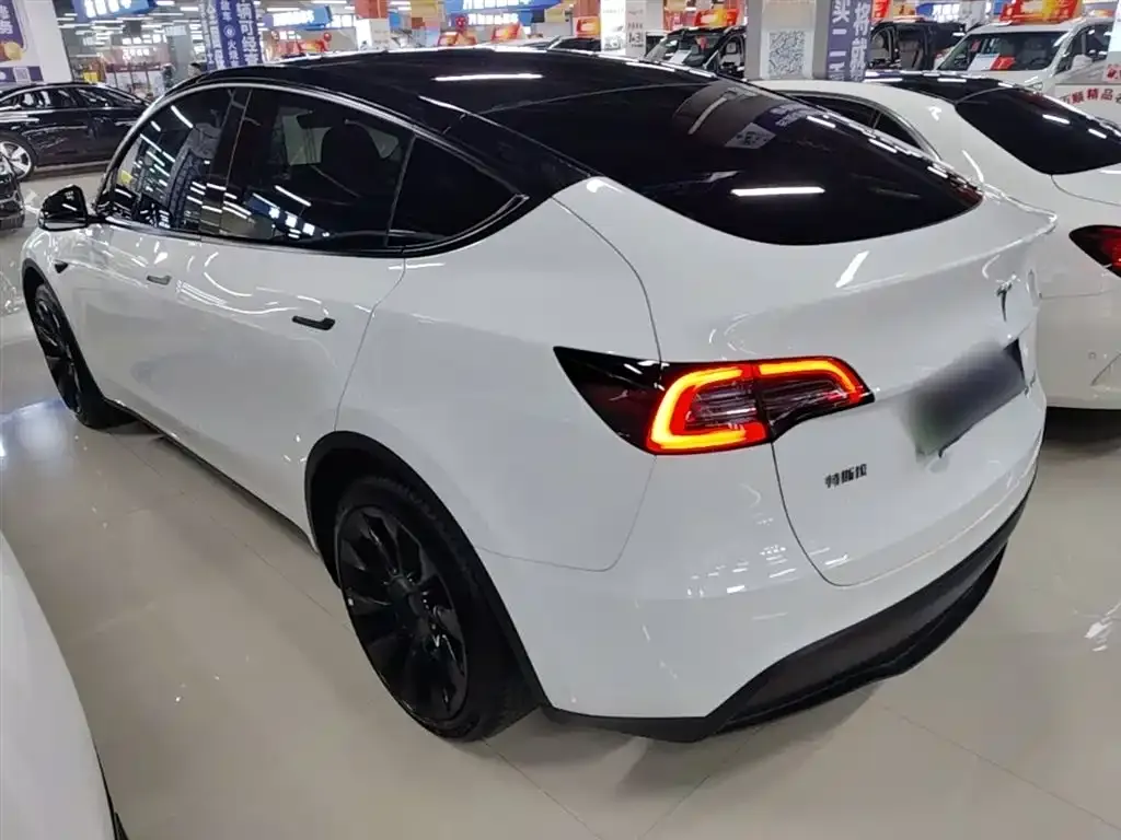 Tesla Model Y — фото 8