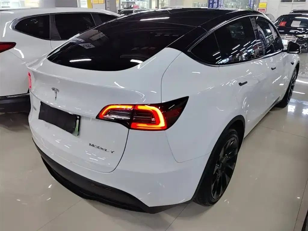 Tesla Model Y — фото 2