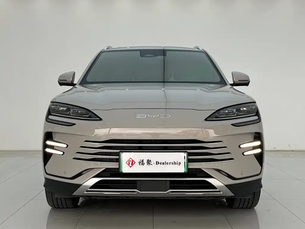 BYD PLUS New Energy — фото 1