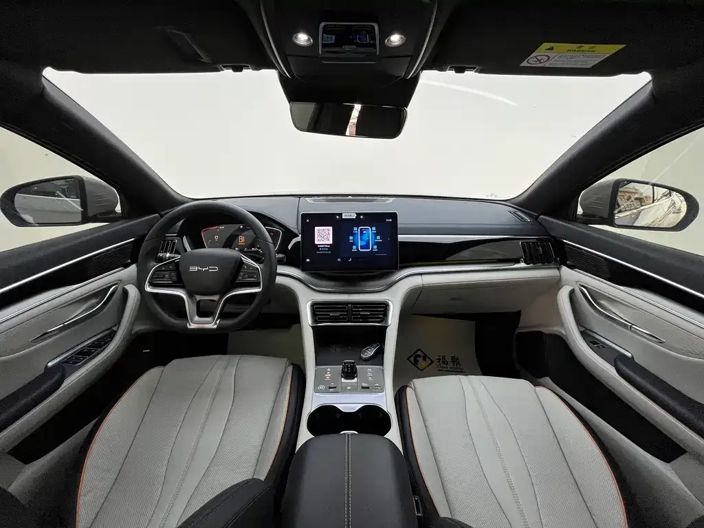BYD PLUS New Energy — фото 10