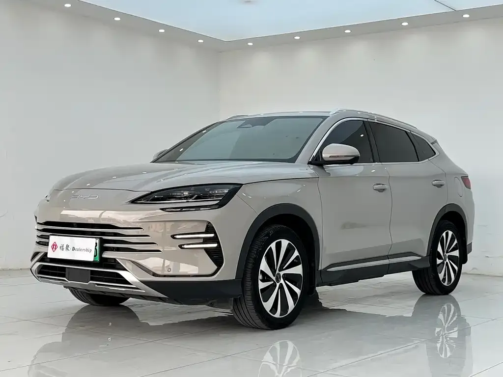 BYD PLUS New Energy — фото 6