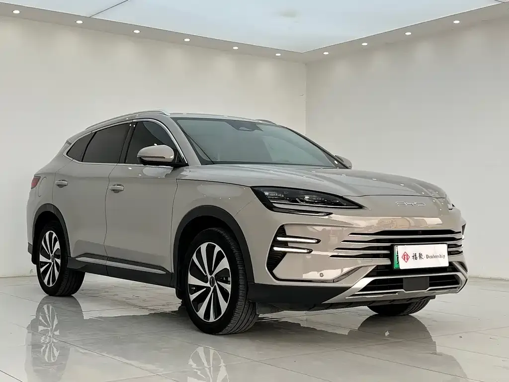 BYD PLUS New Energy — фото 3