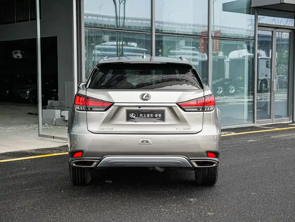 Lexus RX — фото 7