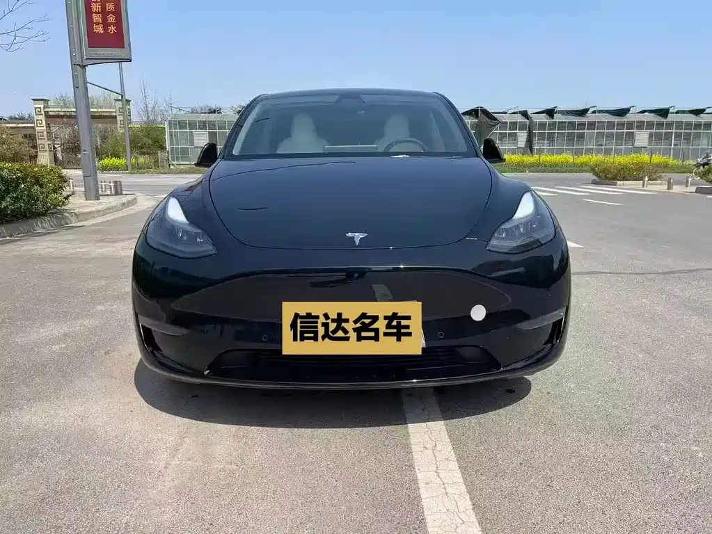 Tesla Model Y — фото 2