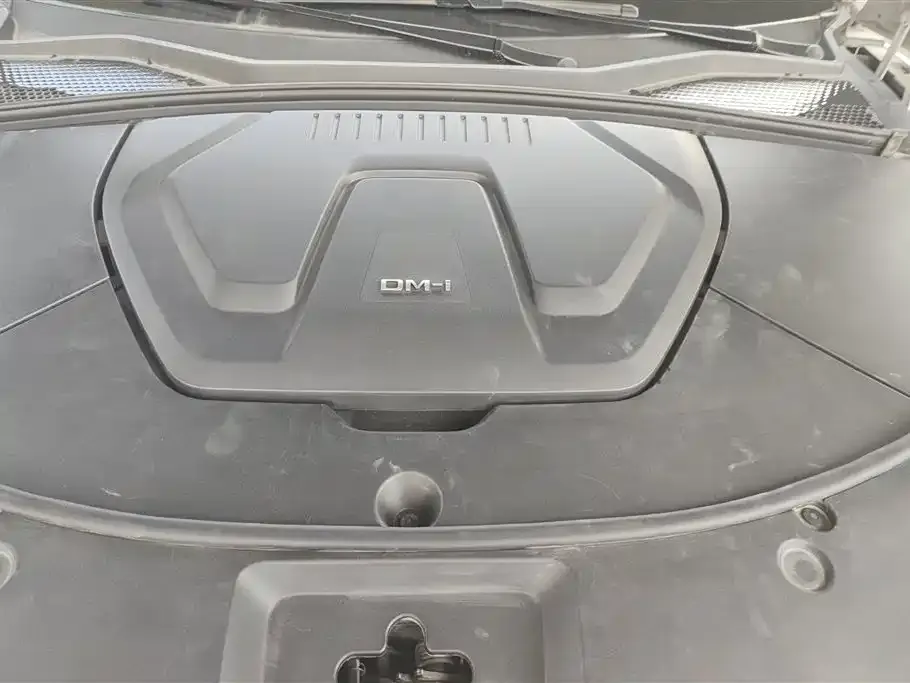 BYD PLUS New Energy — фото 10