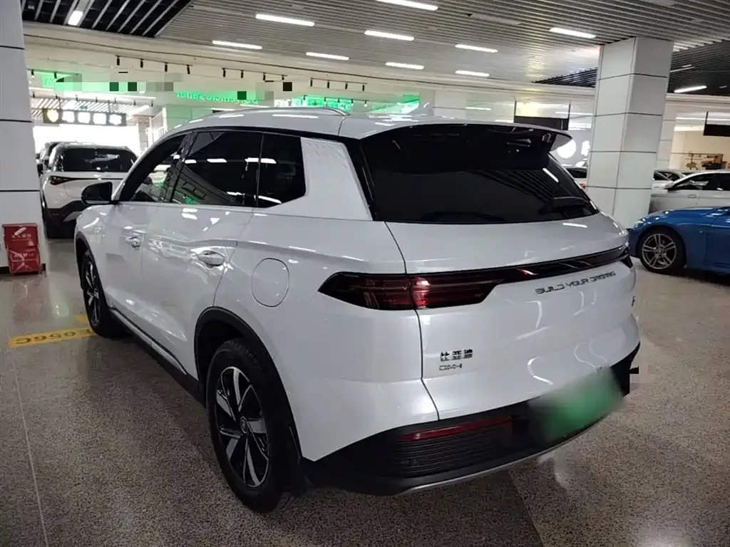BYD Pro New Energy — фото 10