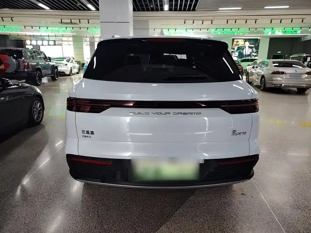 BYD Pro New Energy — фото 8