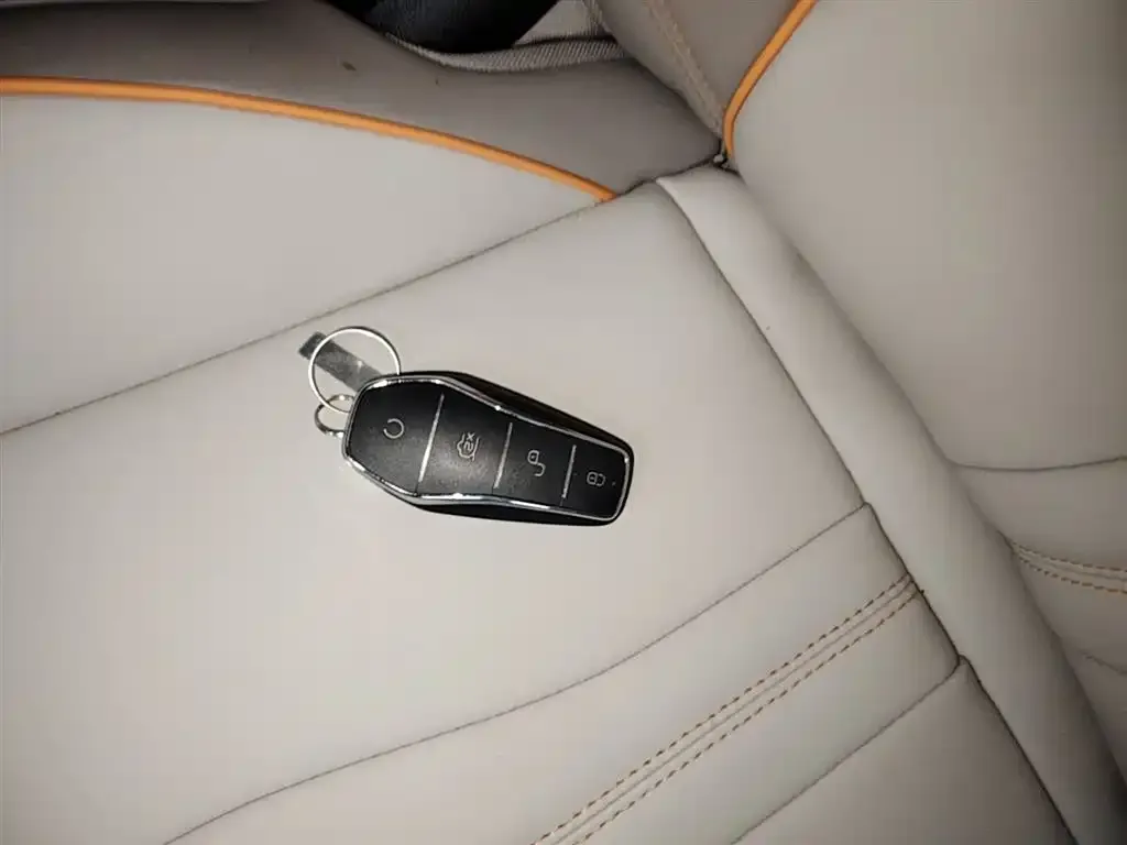 BYD Pro New Energy — фото 2