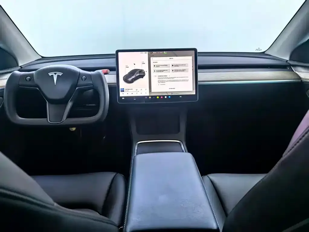 Tesla Model Y — фото 10