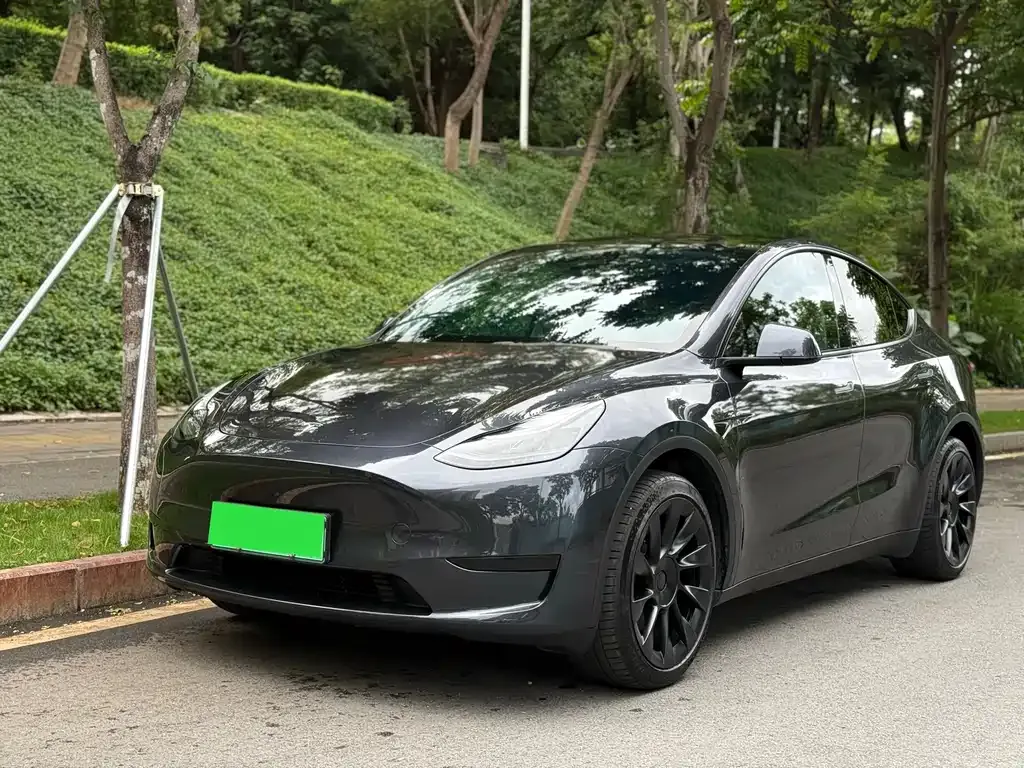 Tesla Model Y — фото 1