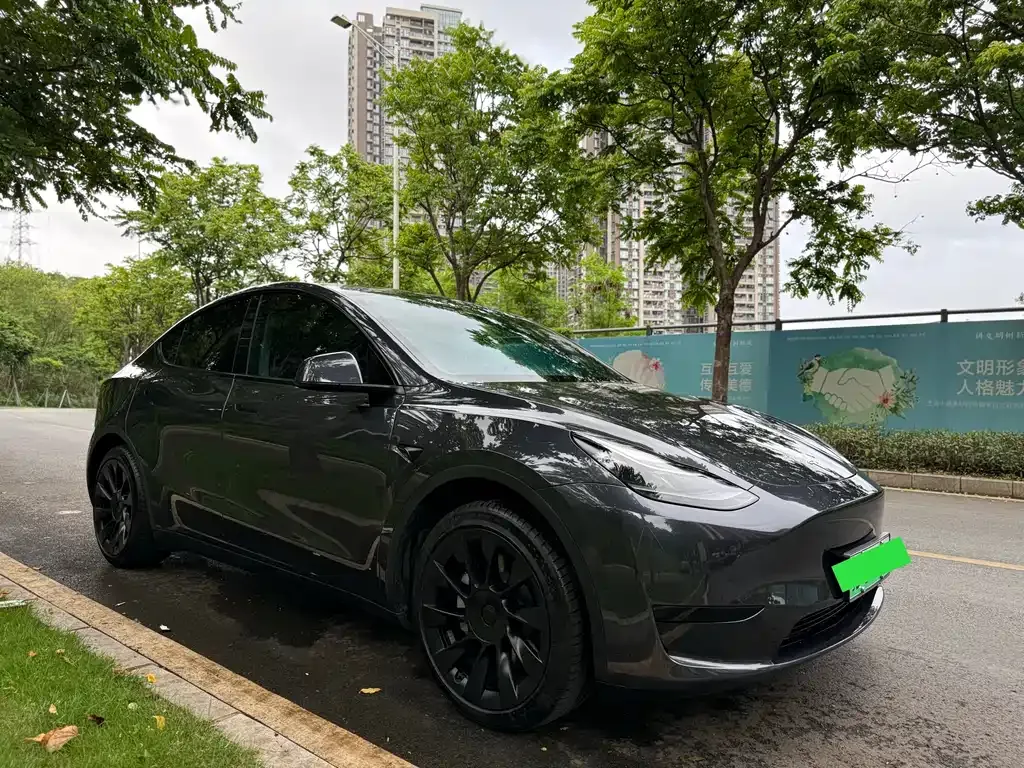 Tesla Model Y — фото 9