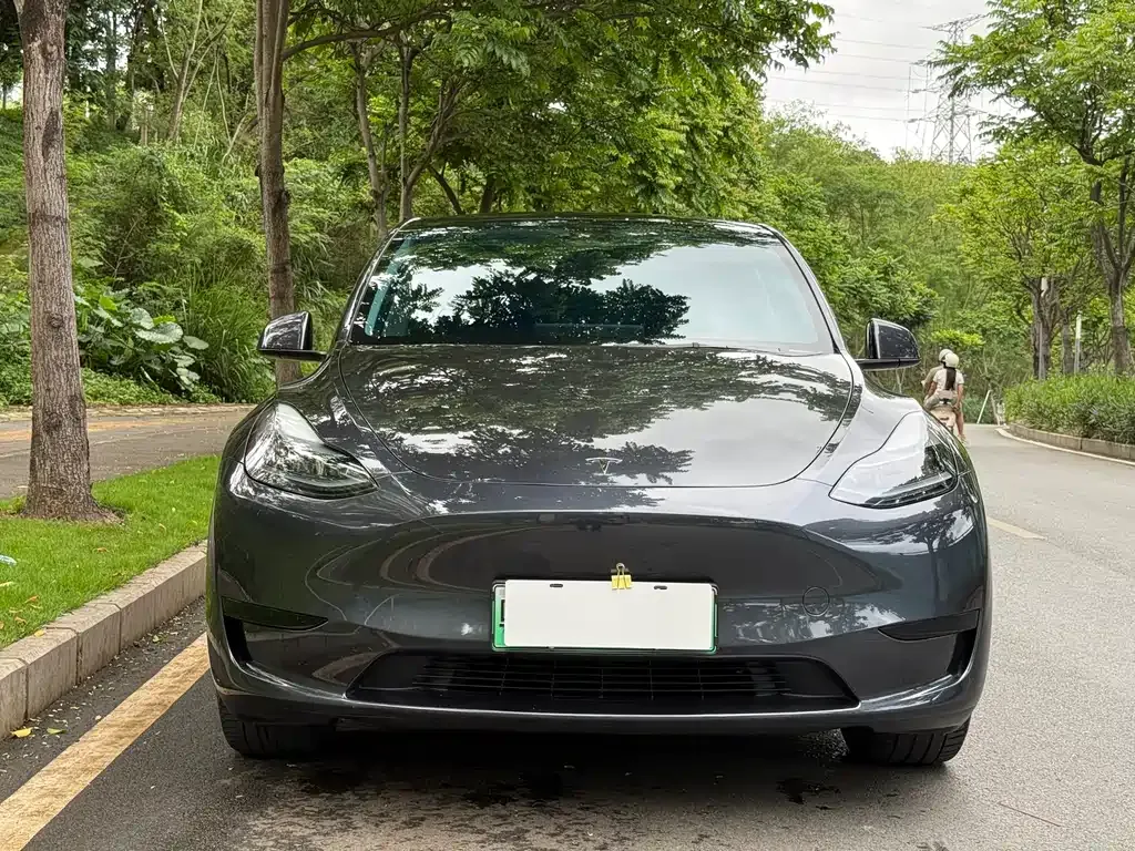 Tesla Model Y — фото 6