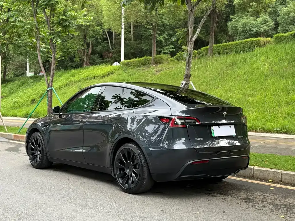 Tesla Model Y — фото 4