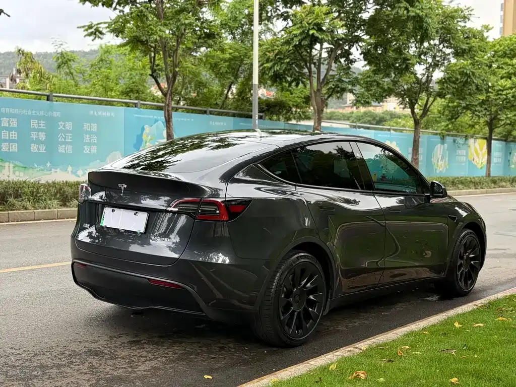 Tesla Model Y — фото 3