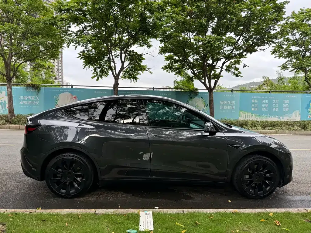 Tesla Model Y — фото 8