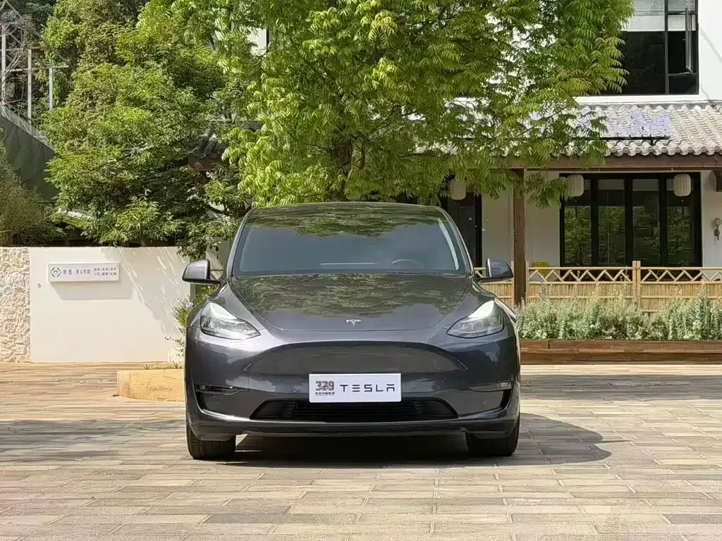 Tesla Model Y — фото 7