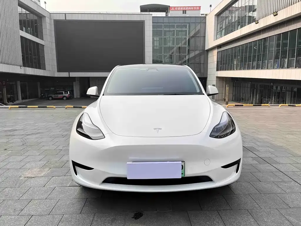 Tesla Model Y — фото 8
