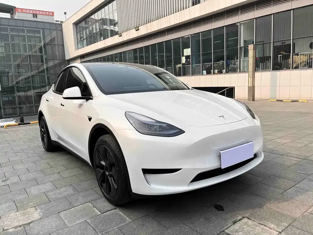 Tesla Model Y — фото 10